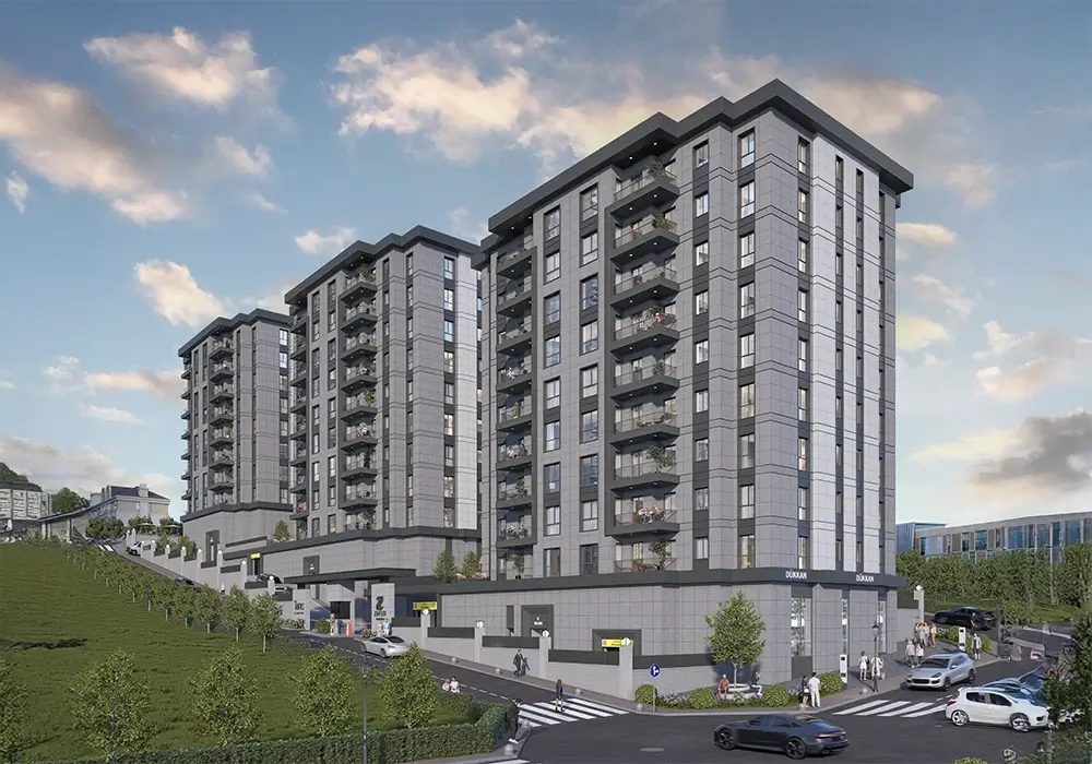 Project image 1
