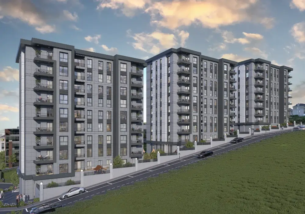 Project image 13