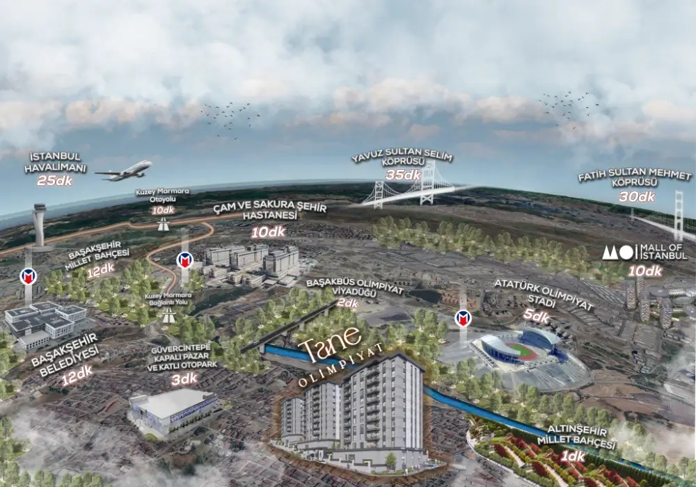 Project image 15