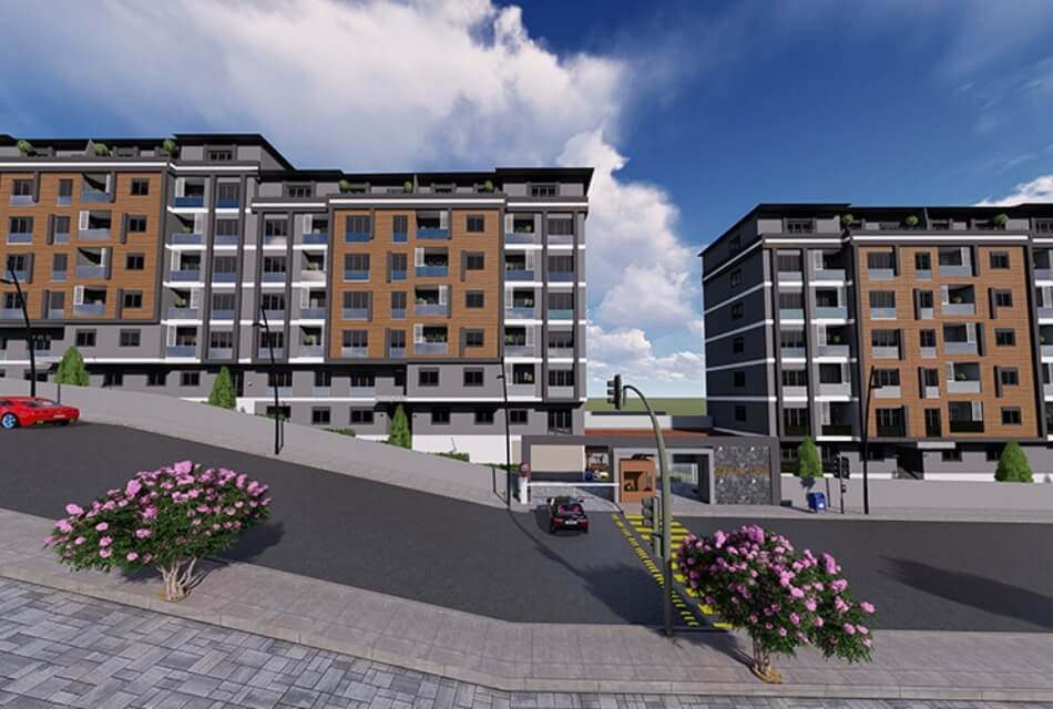 Project image 1